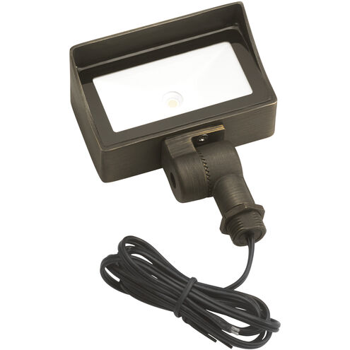 LED Integrated Wash Centennial Brass Landscape 12V LED Wall Wash