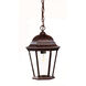 Richmond 1 Light 9.50 inch Outdoor Pendant/Chandelier
