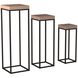 Carter 43 X 14 inch Wood and Metal Pedestal, Set of 3