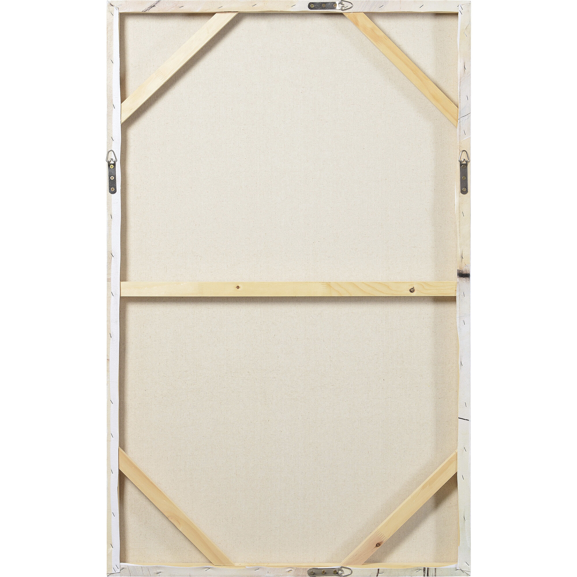 Curiosity Multicolor Water Color and Black Lines Canvas Art, Set of 2