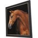 Animals Brown and Black and Neutral Framed Art