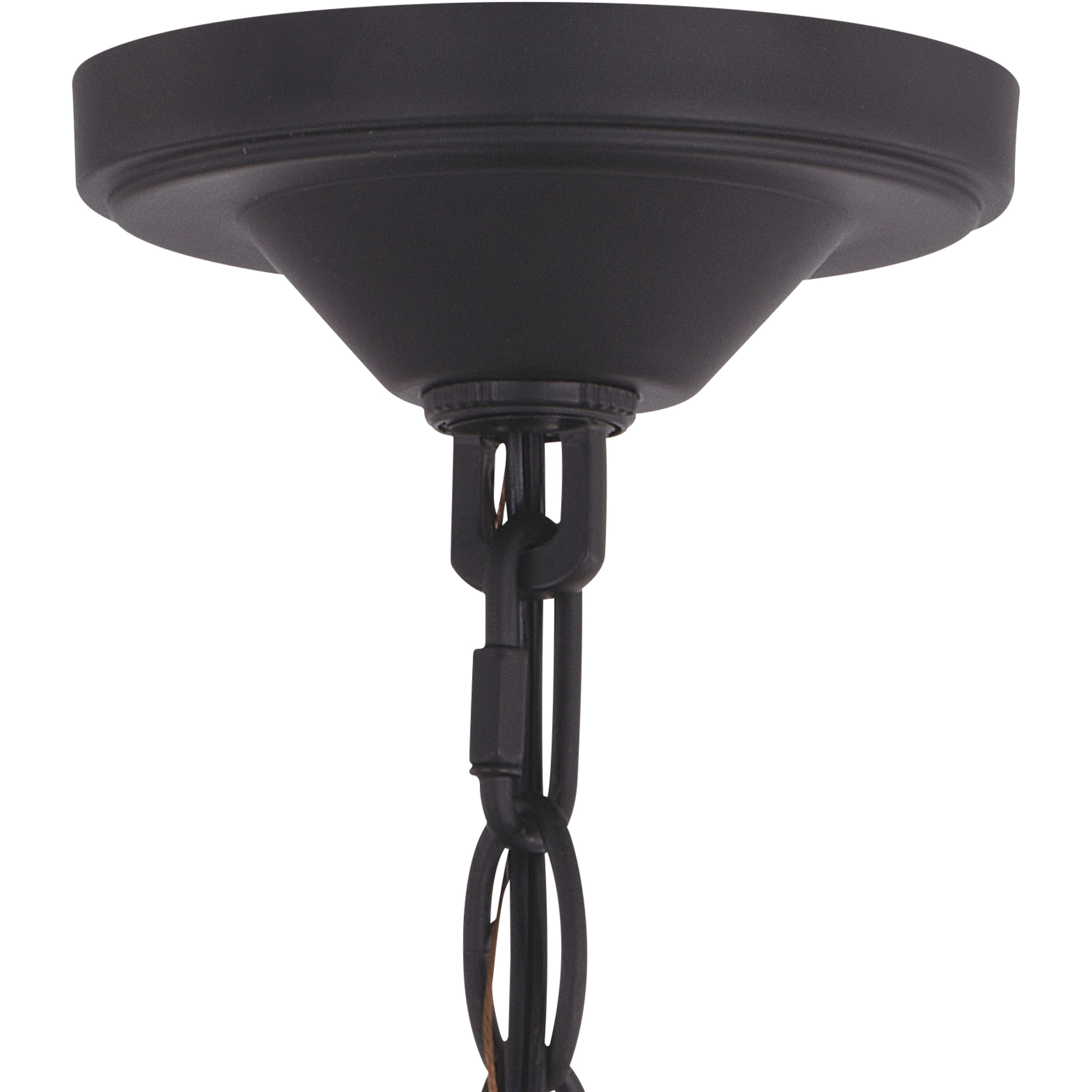 Collins LED 10 inch Matte Black Outdoor Pendant