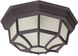 Crown Hill 2 Light 11 inch Rust Patina Outdoor Ceiling Mount