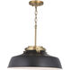 Oakwood 1 Light 18 inch Matte Black Pendant Ceiling Light