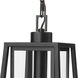 Denzell 1 Light 8.25 inch Powder Coated Black Outdoor Hanging Lantern