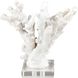 Coral 11.75 X 8.25 inch Sculpture, Set of 2