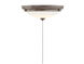 Lucerne LED Aged Wood Fan Light kit