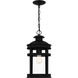 Scout 1 Light 10 inch Matte Black Mini Pendant Ceiling Light, Small