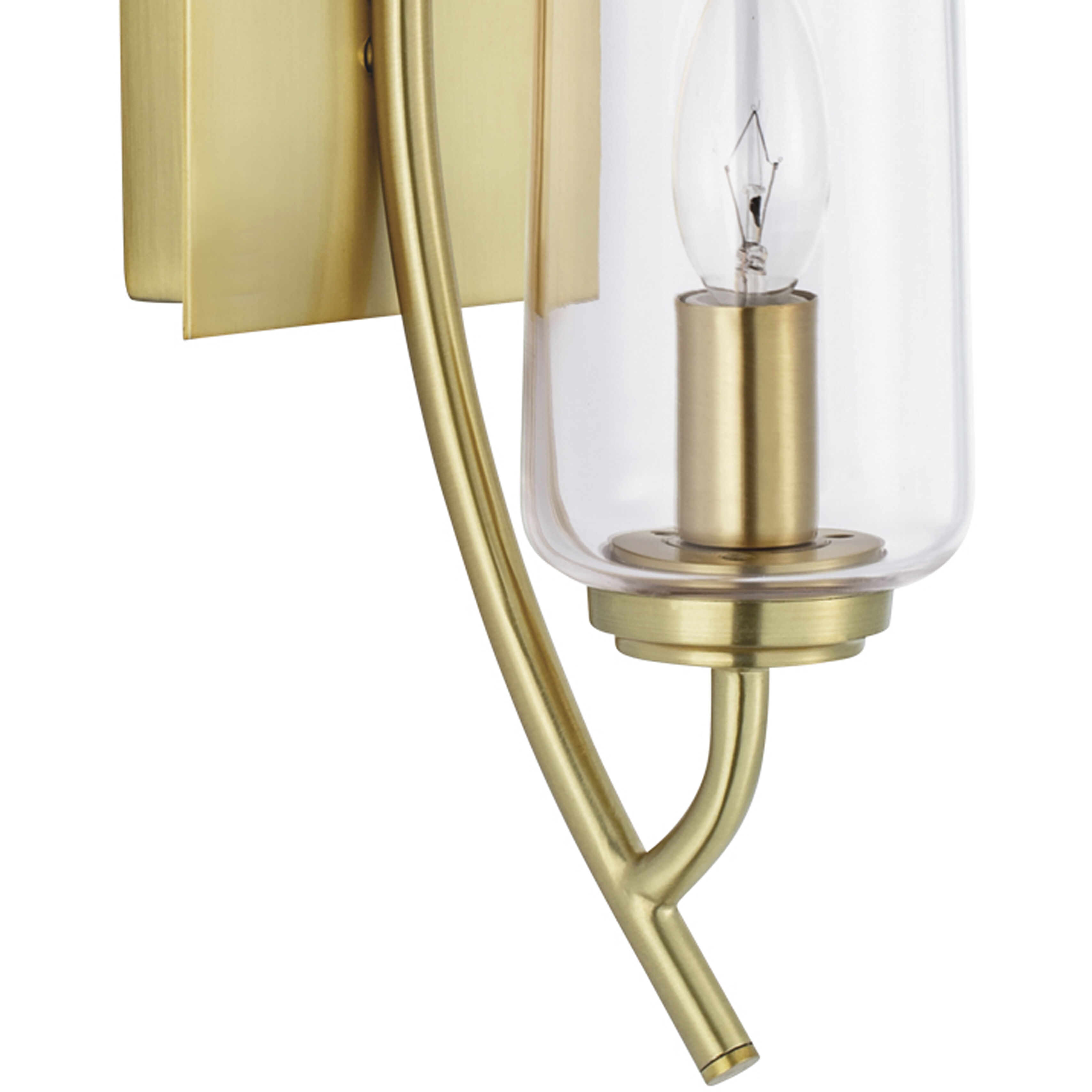 Tulip Sconce Wall Light in Satin Brass