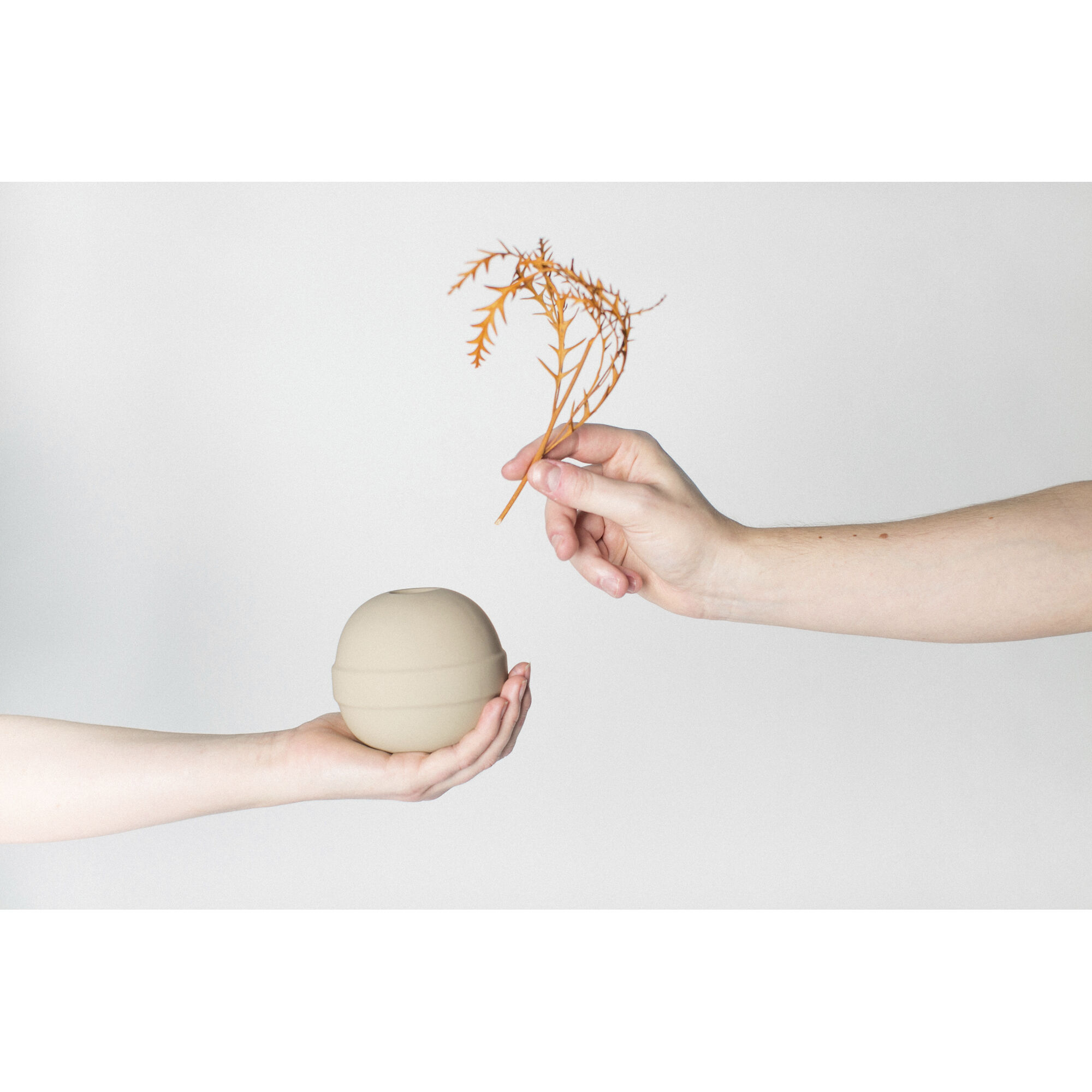 Naturalist 4 X 4 inch Vase