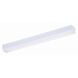 Utility LED 24 inch White Shop Light Ceiling Light