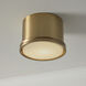 Griffin 1 Light 8.75 inch Aged Brass Flush Mount Ceiling Light