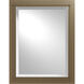 Metra 28 X 22 inch Soft Gold Mirror