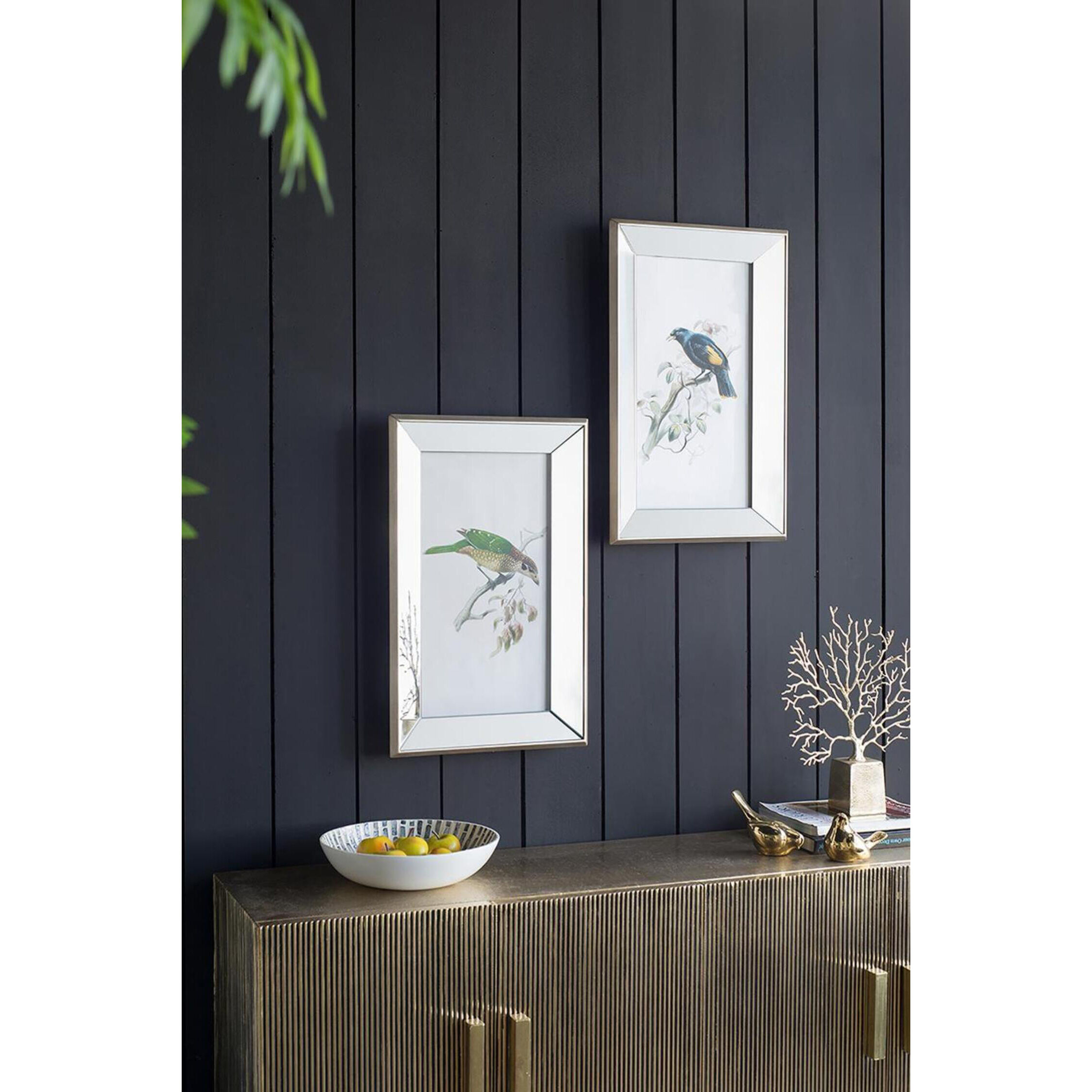 Bird Mirror Frame Print Multi Color Wall Art, Set of 2