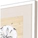 Waterside Collection Lacquered White Wood Shadow Box Style Framed Art