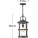 Estate Series Lakehouse LED 9 inch Aged Zinc with Driftwood Gray Outdoor Hanging Lantern, Medium