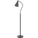 Capstone 63 inch 15.00 watt Iron Grey Floor Lamp Portable Light