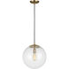 Leo - Hanging Globe 1 Light 14.00 inch Pendant