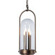 Davis 4 Light 11.7 inch Coastal Natural Iron Outdoor Hanging Lantern