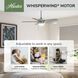 Anisten 44 inch Brushed Nickel with Matte Nickel/Light Grey Oak Blades Ceiling Fan