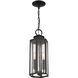 Hawthorne 2 Light 7 inch Black Outdoor Hanging Lantern, Lighting One