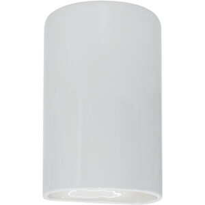 Ambiance Cylinder LED 9.5 inch Gloss White Outdoor Wall Sconce, Small