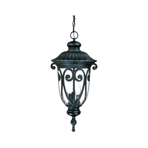 Naples 3 Light 11 inch Matte Black Exterior Hanging Lantern