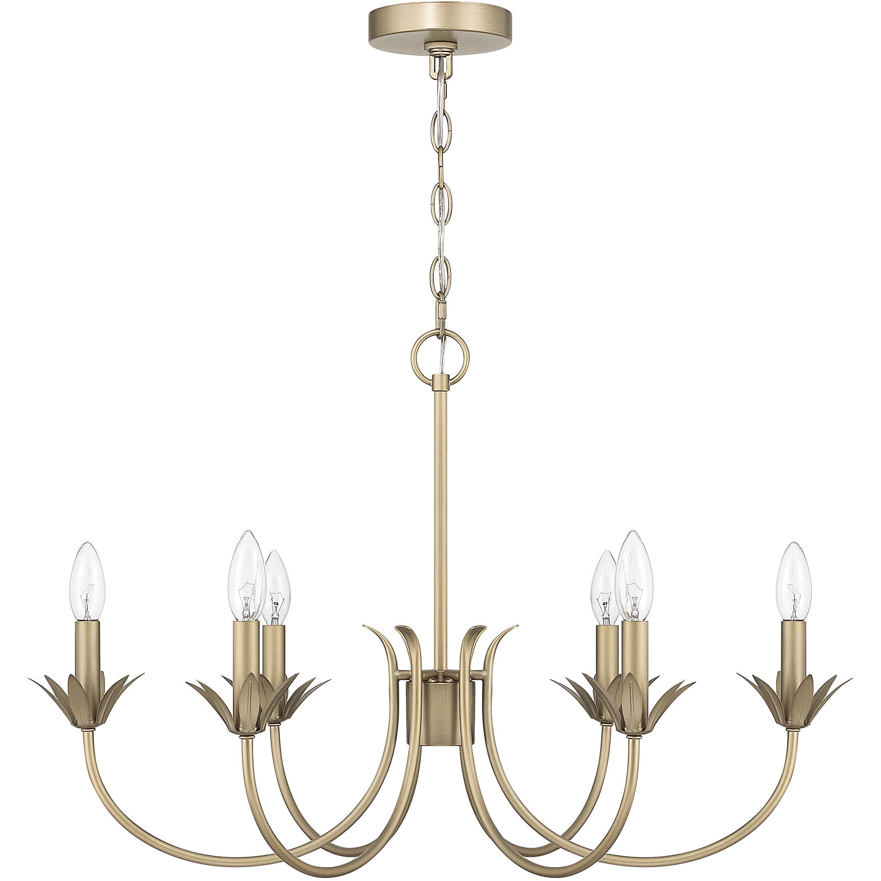 Junie Bud 6 Light 28 inch Luxe Gold Chandelier Ceiling Light, Medium