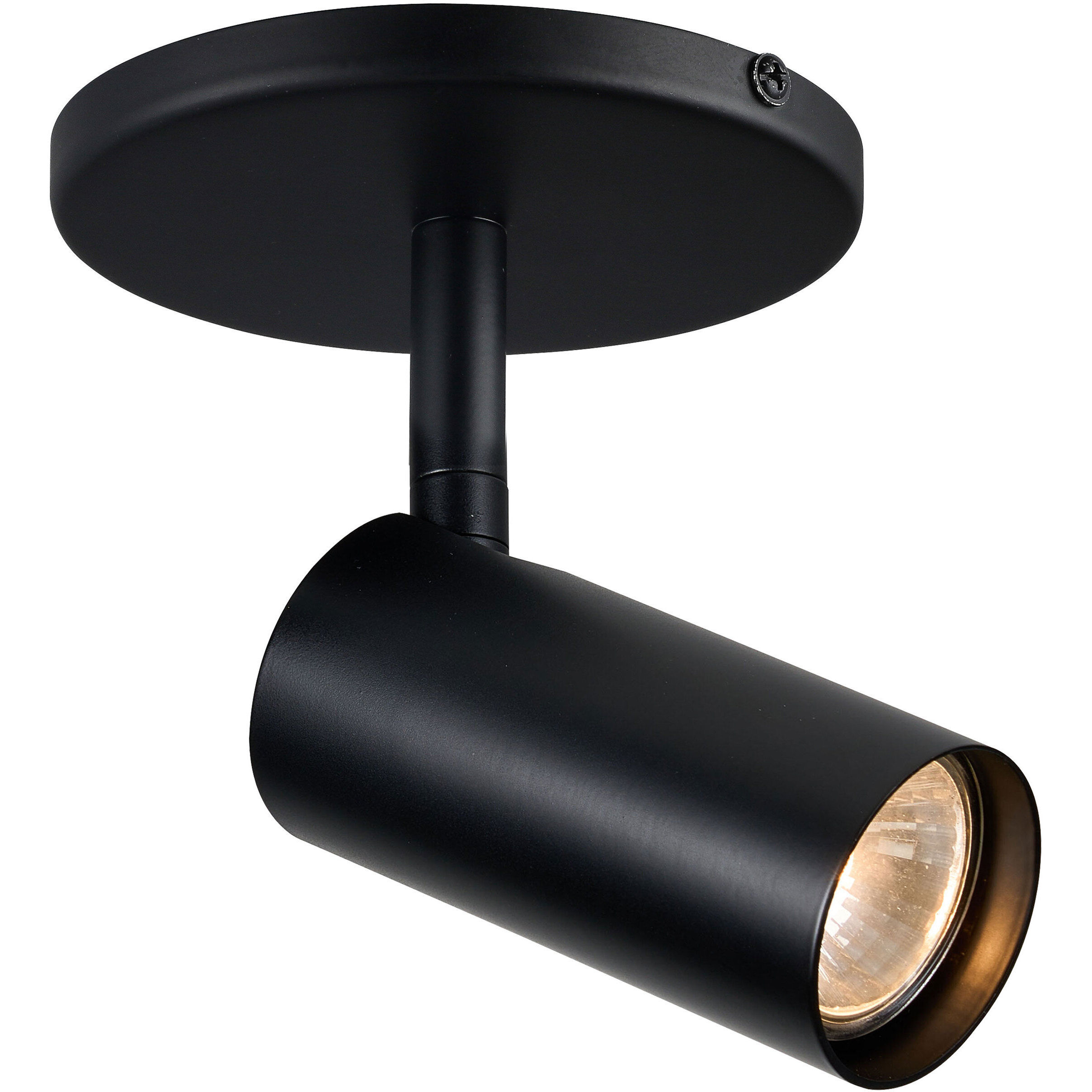 Stanly Matte Black 50.00 watt 1 Light Spotlight