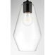 Clarity 1 Light 6.75 inch Coal Mini Pendant Ceiling Light