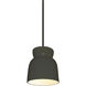 Radiance Collection LED 8 inch Pewter Green with Brushed Nickel Pendant Ceiling Light