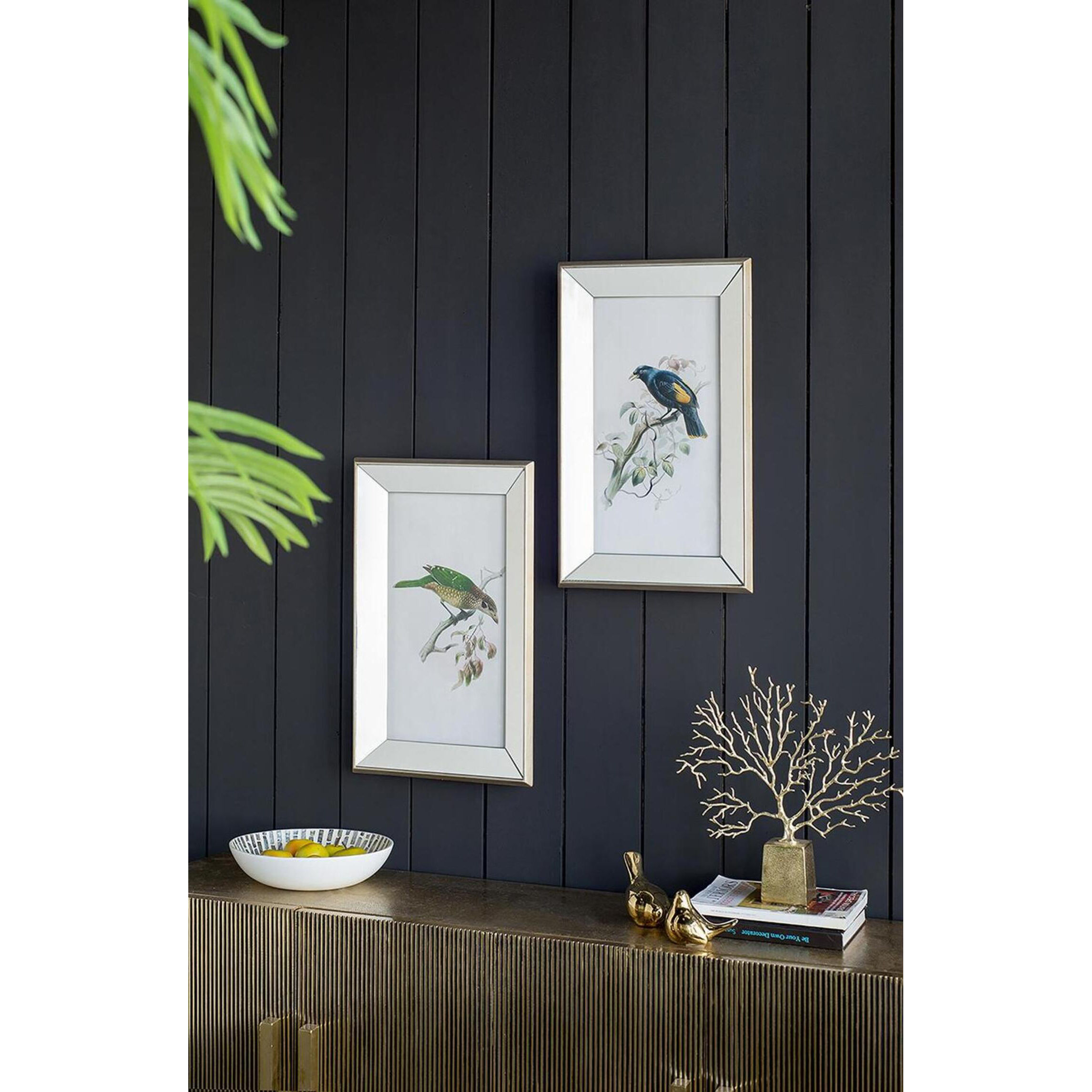 Bird Mirror Frame Print Multi Color Wall Art, Set of 2