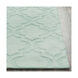 Central Park 120 X 27 inch Mint Indoor Runner, Runner