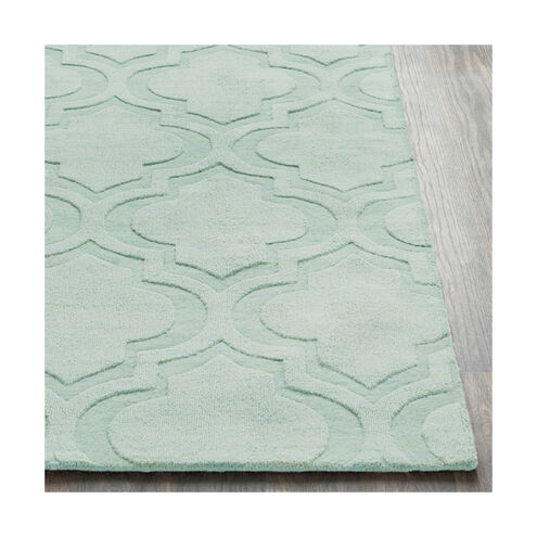 Central Park 120 X 27 inch Mint Indoor Runner, Runner