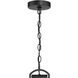 Brenwick 1 Light 8 inch Powder Coated Black Outdoor Hanging Pendant