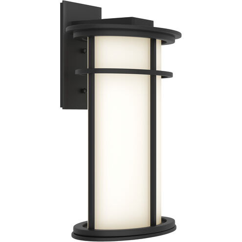Province 1 Light 15.4 inch Coastal Black Outdoor Sconce, Large