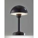 Ollie 12.5 inch 2.00 watt Black Cordless Table Lamp Portable Light
