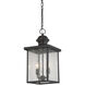 Newberry 2 Light 9 inch English Bronze Outdoor Hanging Lantern
