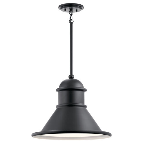 Northland 1 Light 18 inch Black Outdoor Hanging Pendant