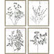 Photography Neutral and Gray and White Framed Art
