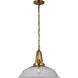 Chapman & Myers Layton LED 20 inch Antique-Burnished Brass Pendant Ceiling Light in Clear Glass