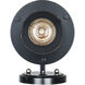 Blues 1 Light 16 inch Black and Brushed Nickel Outdoor Wall Lantern