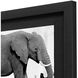 Animals Collection White Framed Art
