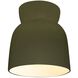 Radiance 1 Light 7.5 inch Matte Green Flush Mount Ceiling Light