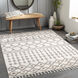 Alhambra 84 X 63 inch Light Grey Rug in 5 x 8, Rectangle