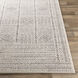 Bahar 35 X 24 inch Light Beige Rug in 2 x 3, Rectangle