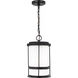 Wilburn 1 Light 8 inch Black Outdoor Pendant Lantern