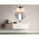 Tremolo 2 Light 20 inch Matte Black and Champagne Gold Vanity Light Wall Light
