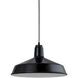 Ezra 1 Light 16 inch Black Pendant Ceiling Light, Essentials by Troy RLM