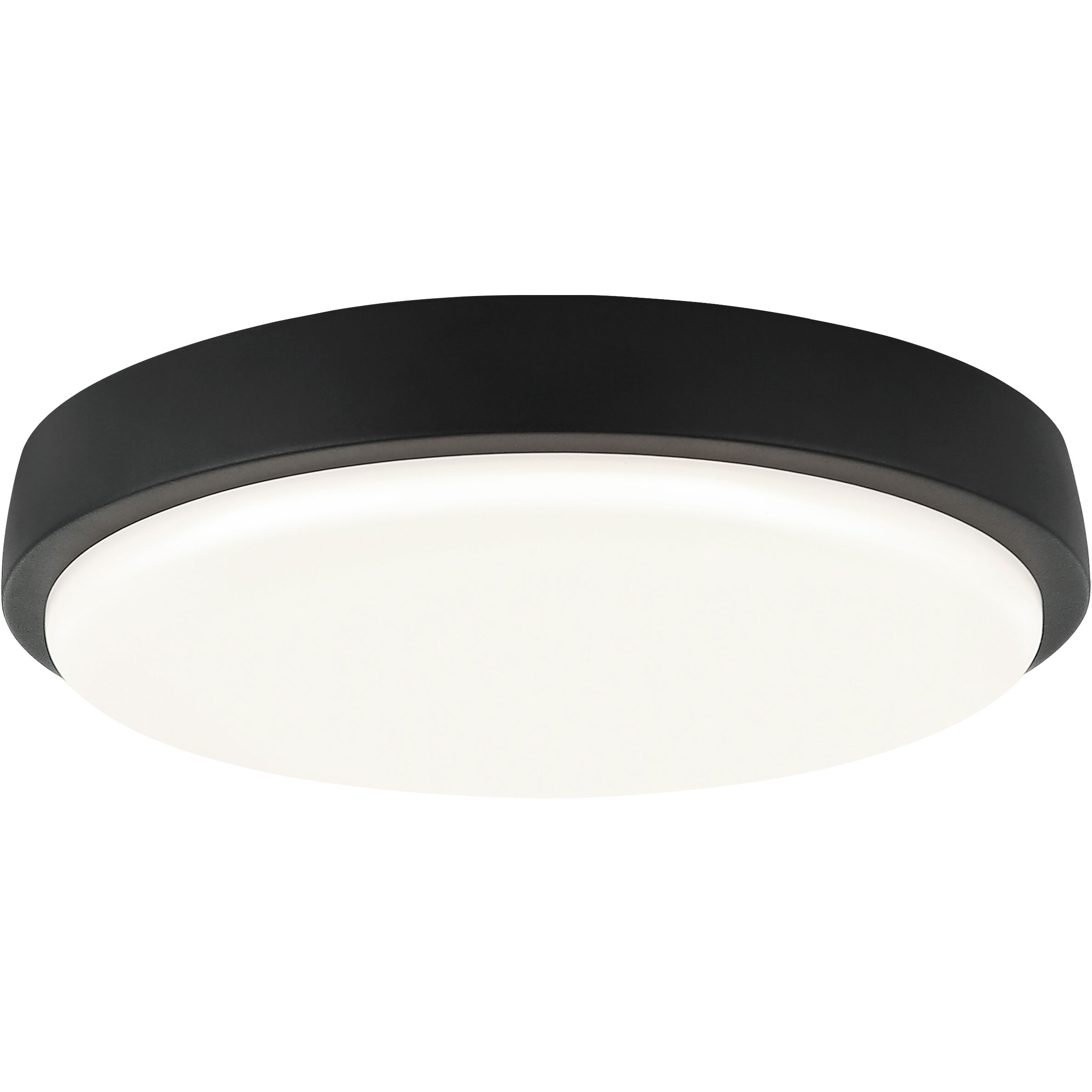 Zane LED 12 inch Matte Black Flush Mount Ceiling Light